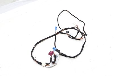 Door Panel Wire / Wiring Harness 1664406005