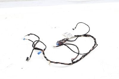 Door Panel Wire / Wiring Harness 1665403713