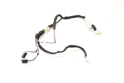 Door Panel Wiring Harness 2465407811