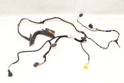 Door Panel Wiring Harness 3C8971121CG