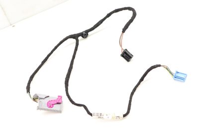 DOOR PANEL WIRING HARNESS 3C8971558AN
