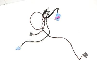 Door Panel Wiring Harness 3CN971558C