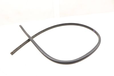 Door Seal (LOWER) 51767267907