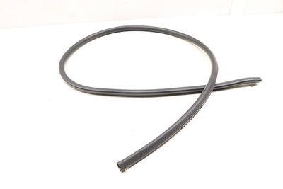 Door Seal (LOWER) 51767267908