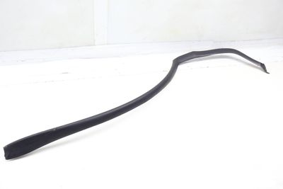 DOOR SEAL / WEATHER STRIPPING