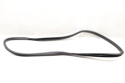 Door Seal / Weather Stripping (INNER) 1566920176