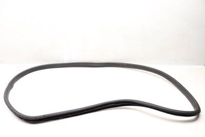 Door Seal / Weather Stripping (INNER) 1566920176