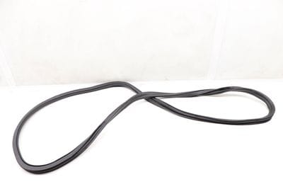 Door Seal / Weather Stripping (INNER) 51727381326