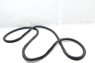 Door Seal / Weather Stripping (INNER) 561867911G