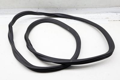 Door Seal / Weather Stripping (INNER) 7381326