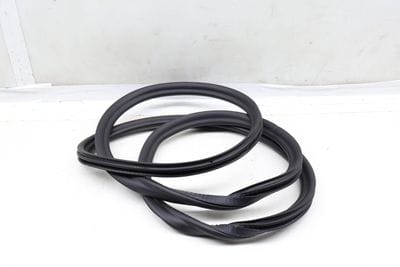 Door Seal / Weather Stripping (INNER) 7468731