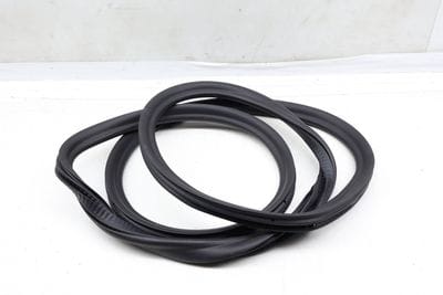 Door Seal / Weather Stripping (INNER) 7468731