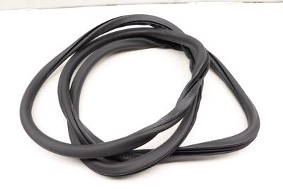 DOOR SEAL / WEATHER STRIPPING (INNER)