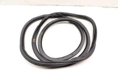 DOOR SEAL / WEATHER STRIPPING (INNER)