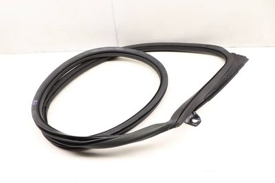 DOOR SEAL / WEATHER STRIPPING (INNER)