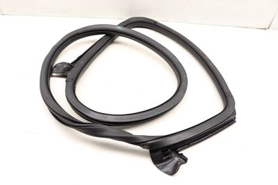 DOOR SEAL / WEATHER STRIPPING (INNER)