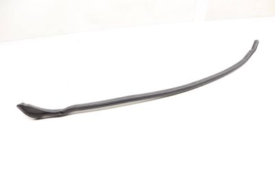Door Seal / Weather Stripping (OUTER) 4M0837717C