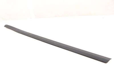 DOOR SILL / SCUFF PANEL TRIM / MOLDING
