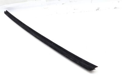 Door Slot Seal (INNER) 51332990301