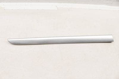 Door Trim / Panel 8E0867419R