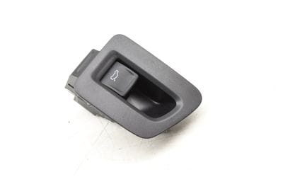 DOOR TRUNK SWITCH w/ TRIM 3CN868963