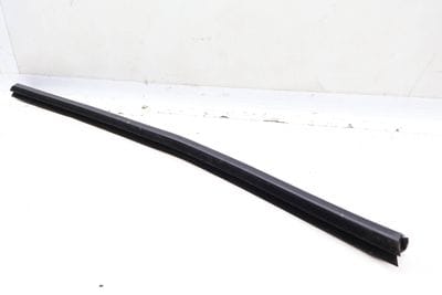 Door / Window Slot Seal (INNER) 4M0839479