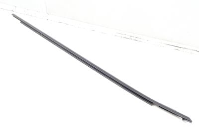 Door Window Slot Seal / Trim 8W8853284C