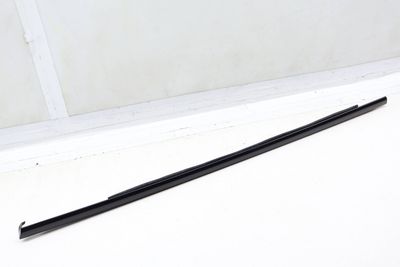 DOOR WINDOW SLOT SEAL / TRIM