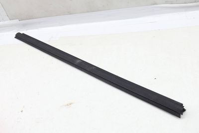 Door Window Slot Seal / Trim (INNER) 1667250365