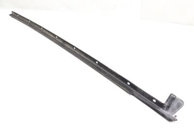Door Window Slot Seal / Trim (INNER) 420837478B