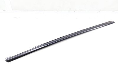 DOOR WINDOW SLOT SEAL / TRIM MOLDING