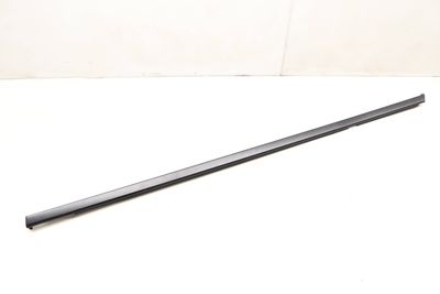 DOOR WINDOW SLOT SEAL / TRIM (OUTER)