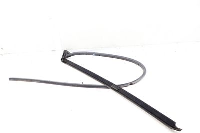 DOOR WINDOW SLOT SEAL / TRIM (OUTER)