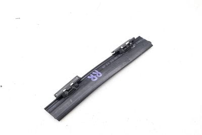 Door Window Slot Seal / Trim (REAR) 1667300424