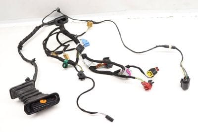 Door Wire / Wiring Harness 1Q0971120DN