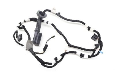 Door Wire / Wiring Harness 5A0C089