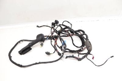 Door Wire / Wiring Harness 61126839117