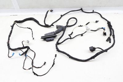 DOOR WIRE / WIRING HARNESS 9291018