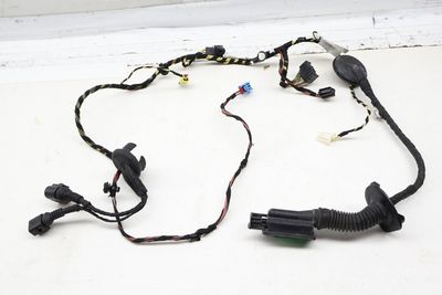 Door Wire / Wiring Harness