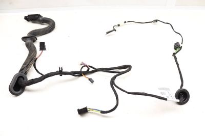 Door Wiring Harness 2465404200