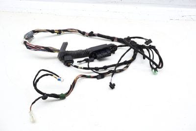Door Wiring Harness 3450836