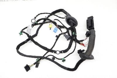 Door Wiring Harness 3CN971120BE