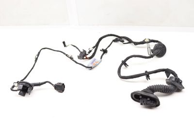 DOOR WIRING HARNESS 420971030L