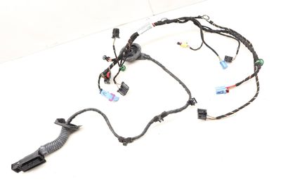 DOOR WIRING HARNESS 5G4971162HR
