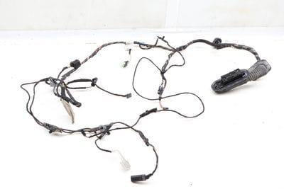 Door Wiring Harness 61129242076