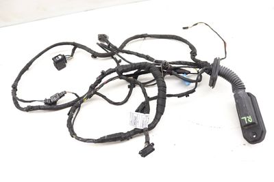 DOOR WIRING HARNESS 9255415