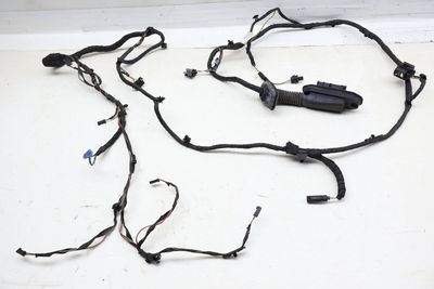 DOOR WIRING HARNESS 9256002