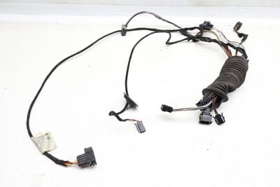 Door Wiring Harness 701971120AC