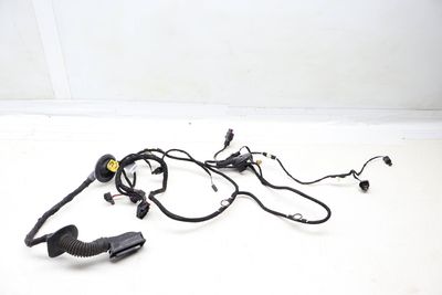 Door Wiring Harness 8F0971030BC