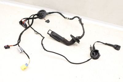 Door Wiring Harness 8K0971029AM